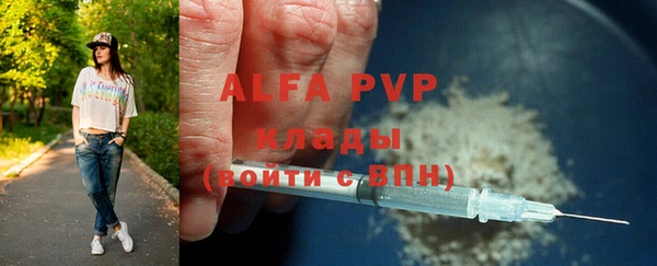 прущие грибы Абаза